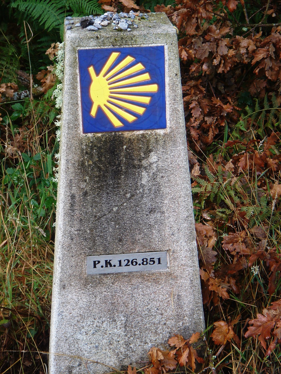 Galicia, St James Kelias, Piligrimas, Camino Santiago, Kraštovaizdis, Ispanija, Turizmas, Akmuo, Laukas, Gamta