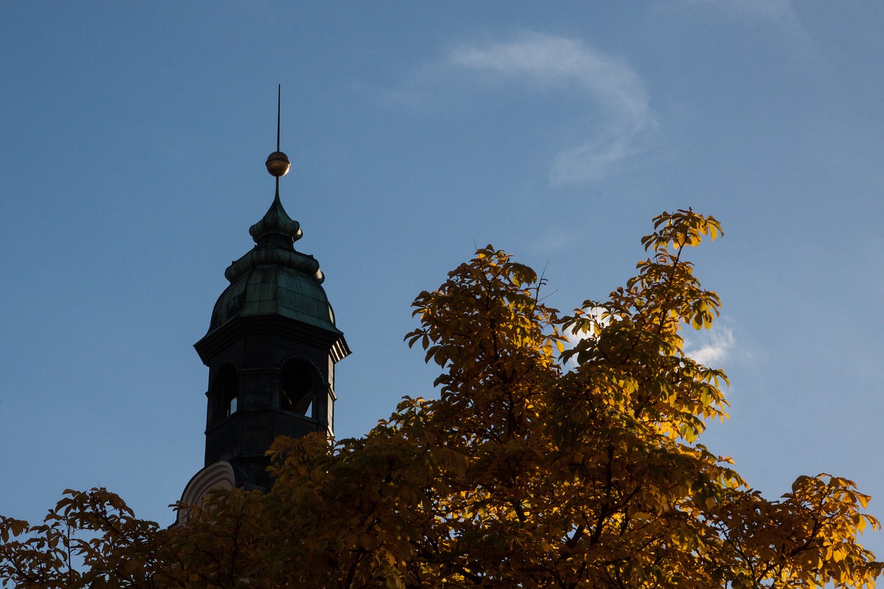 Gallwitz, Tvorų Bokštas, Ulm, Miestas, Miesto Vaizdas, Ruduo, Medis, Geltona, Lapai, Kritimo Lapija