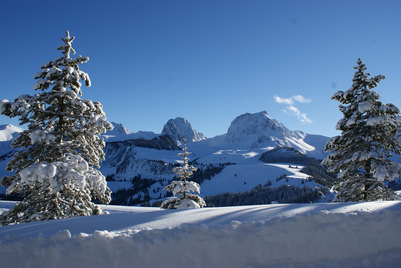 Gantrisch, Kalnai, Alpių, Žiemą, Šveicarija, Žiema, Nemokamos Nuotraukos,  Nemokama Licenzija
