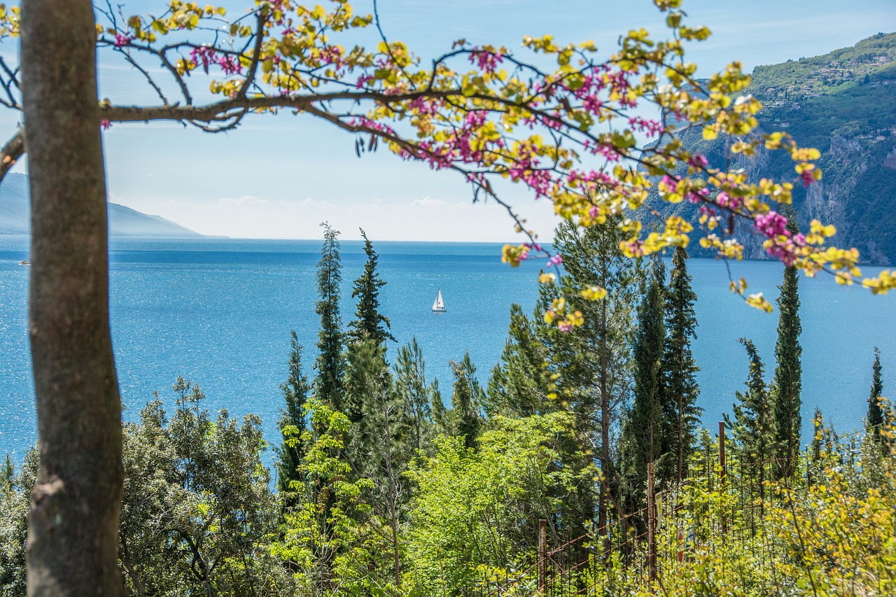 Garda, Balandis, Šventė, Saulė, Turizmas, Nuotaika, Dangus, Burinė Valtis, Mėlynas, Ežeras