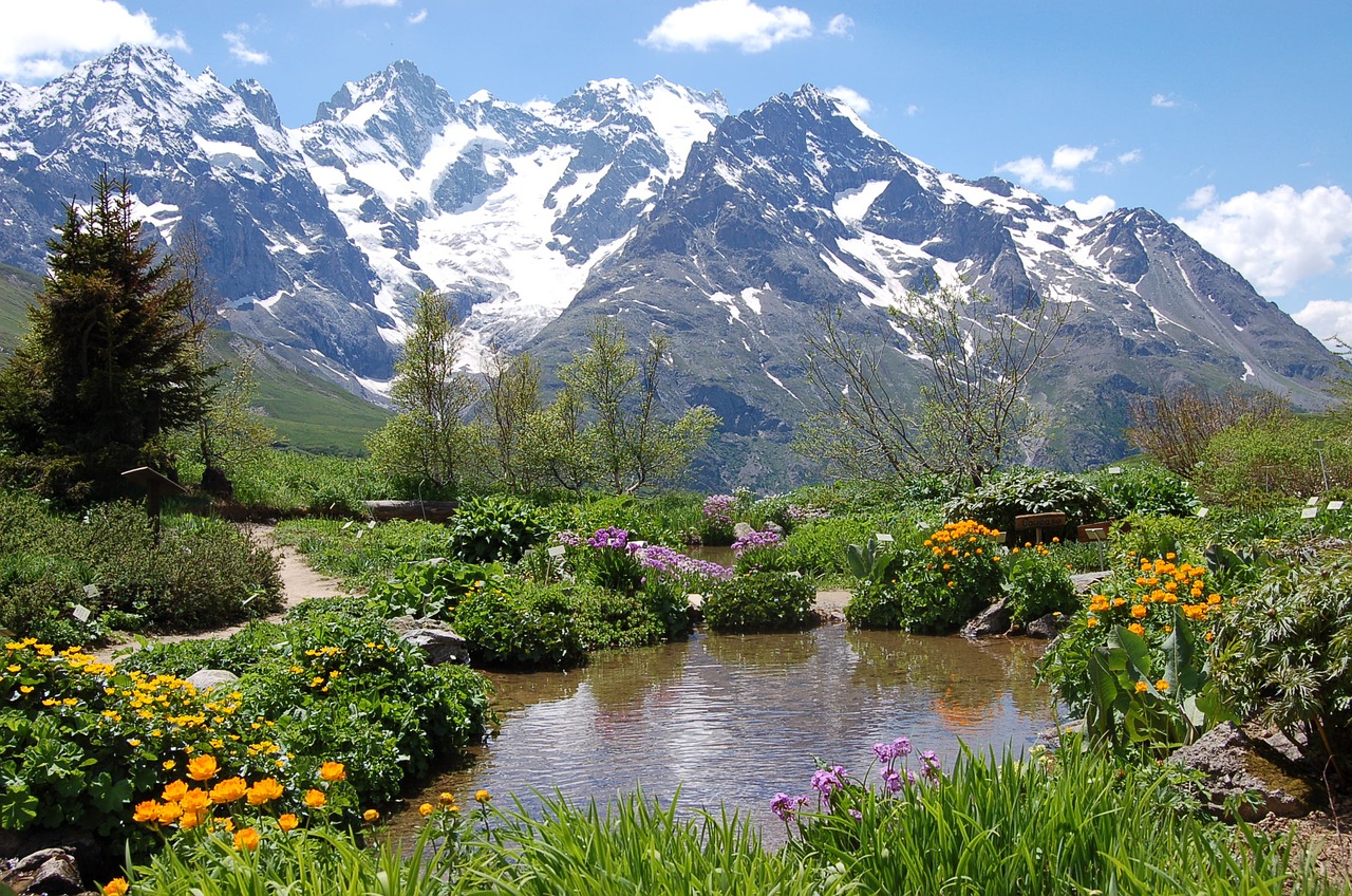 Hautes Alpes, Gimdos Kaklelio Lautaretas, Sodas, Alpės, Botanikos Sodas, Nemokamos Nuotraukos,  Nemokama Licenzija