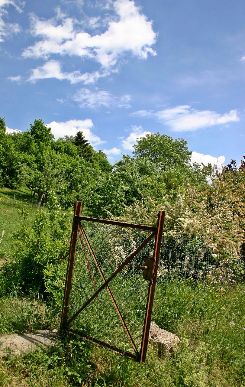 Sodo Vartai, Sodo Durys, Paskirstymas, Sodas, Tikslas, Durys, Pavasaris, Augalas, Gamta, Žiedas