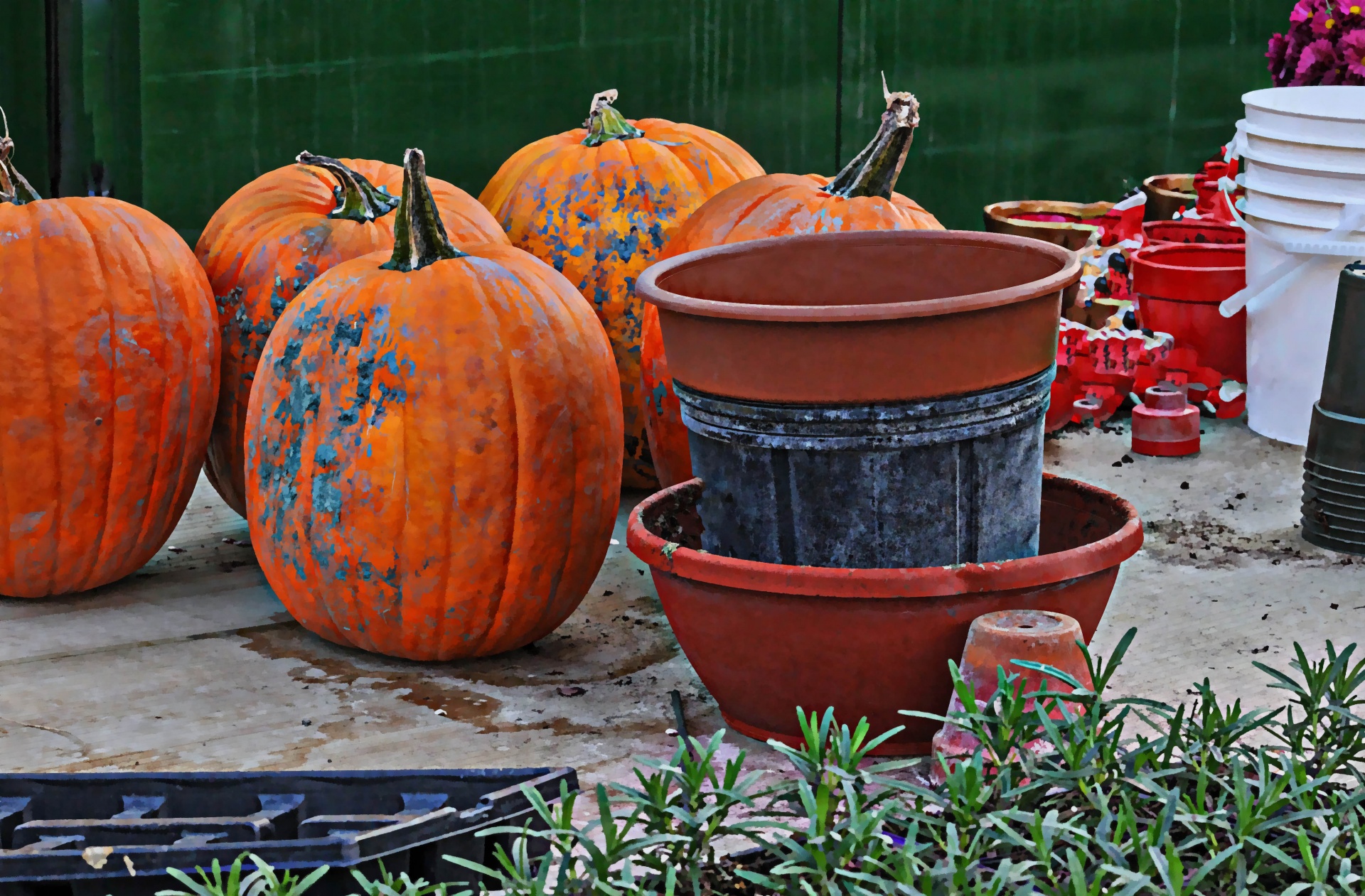 Moliūgai,  Moliūgas,  Sodas,  Sodininkystė,  Stalas,  Stendas,  Darbas & Nbsp,  Stende,  Halloween,  Kritimas