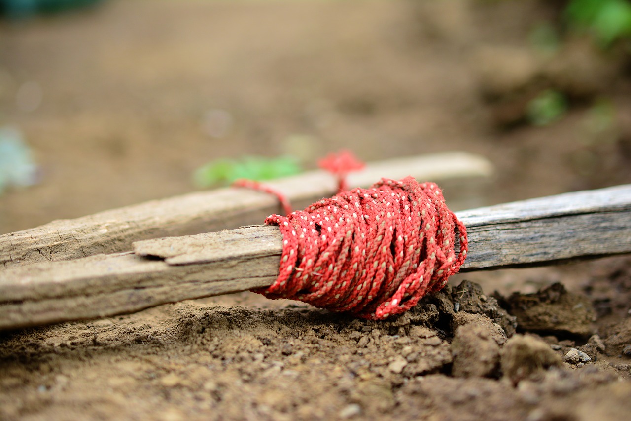 Sodininkystė, Sodo Dirvožemis, Lynai, Laidas, Staking, Darbas, Augti, Žemė, Gartenland, Lova