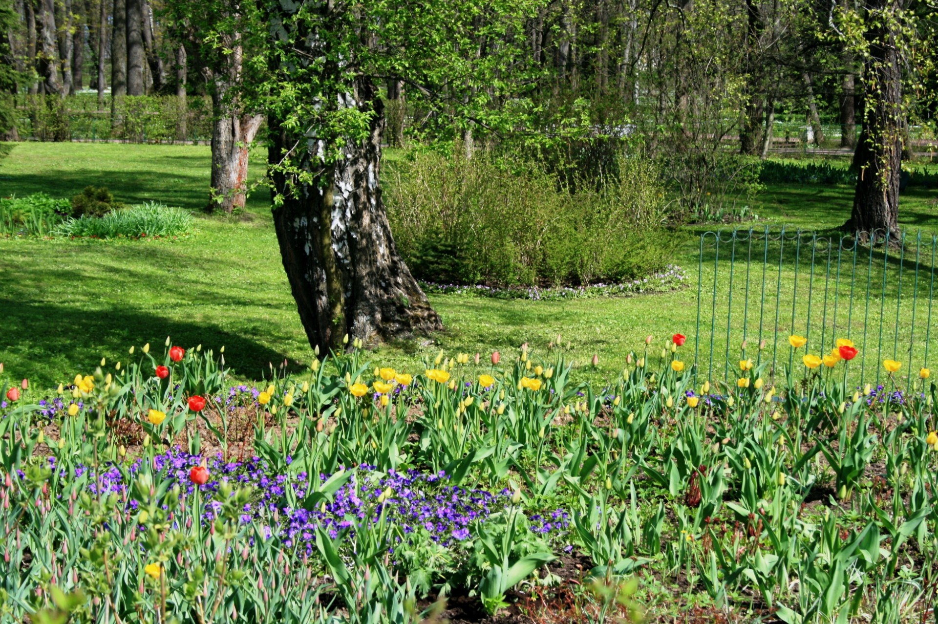 Sodas,  Medžiai,  Veja,  Žalias,  Gėlės,  Spalvinga,  Sodai,  Peterhof,  Sankt Peterburgas, Nemokamos Nuotraukos