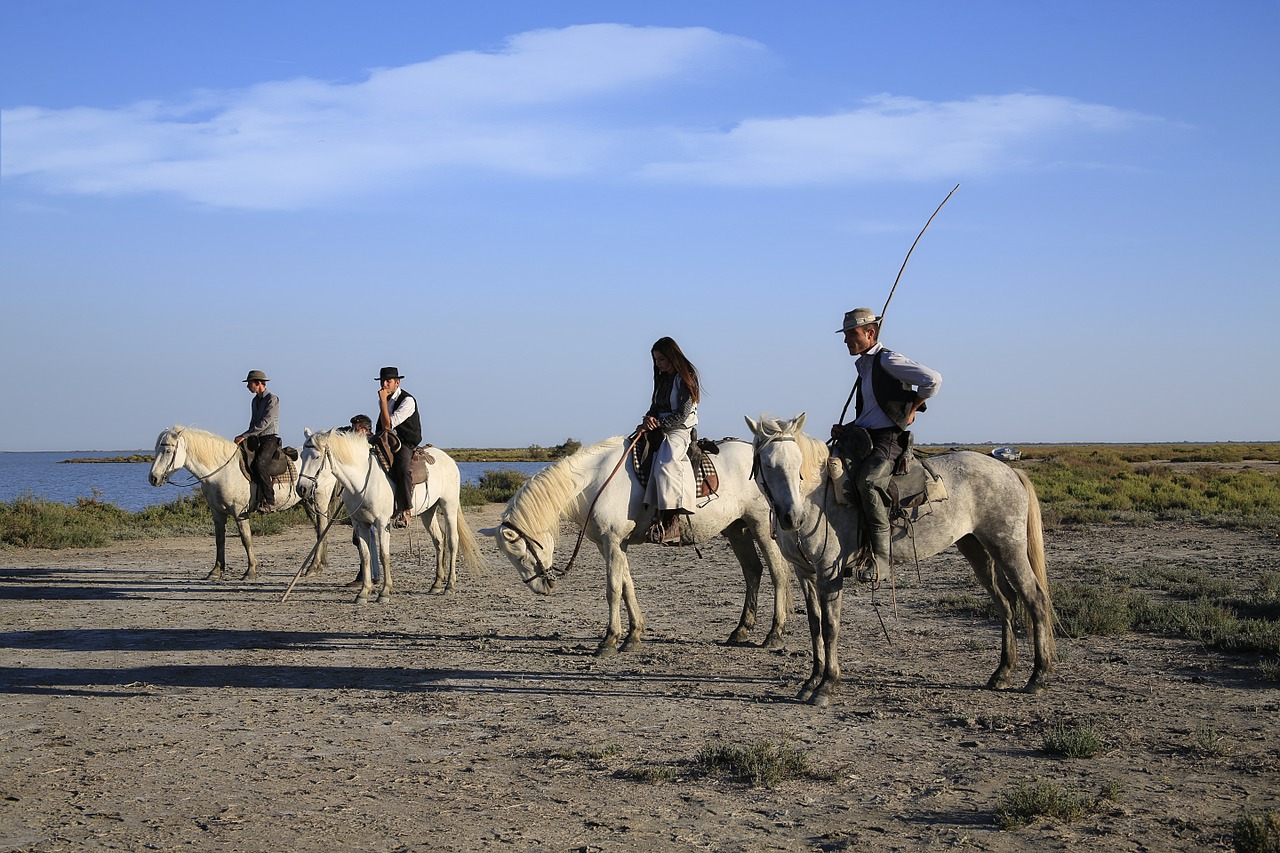 Globėjas, Arklys, Arkliai, Camargue, Balnas, Megztinis, Kalibras, Balta, Nemokamos Nuotraukos,  Nemokama Licenzija