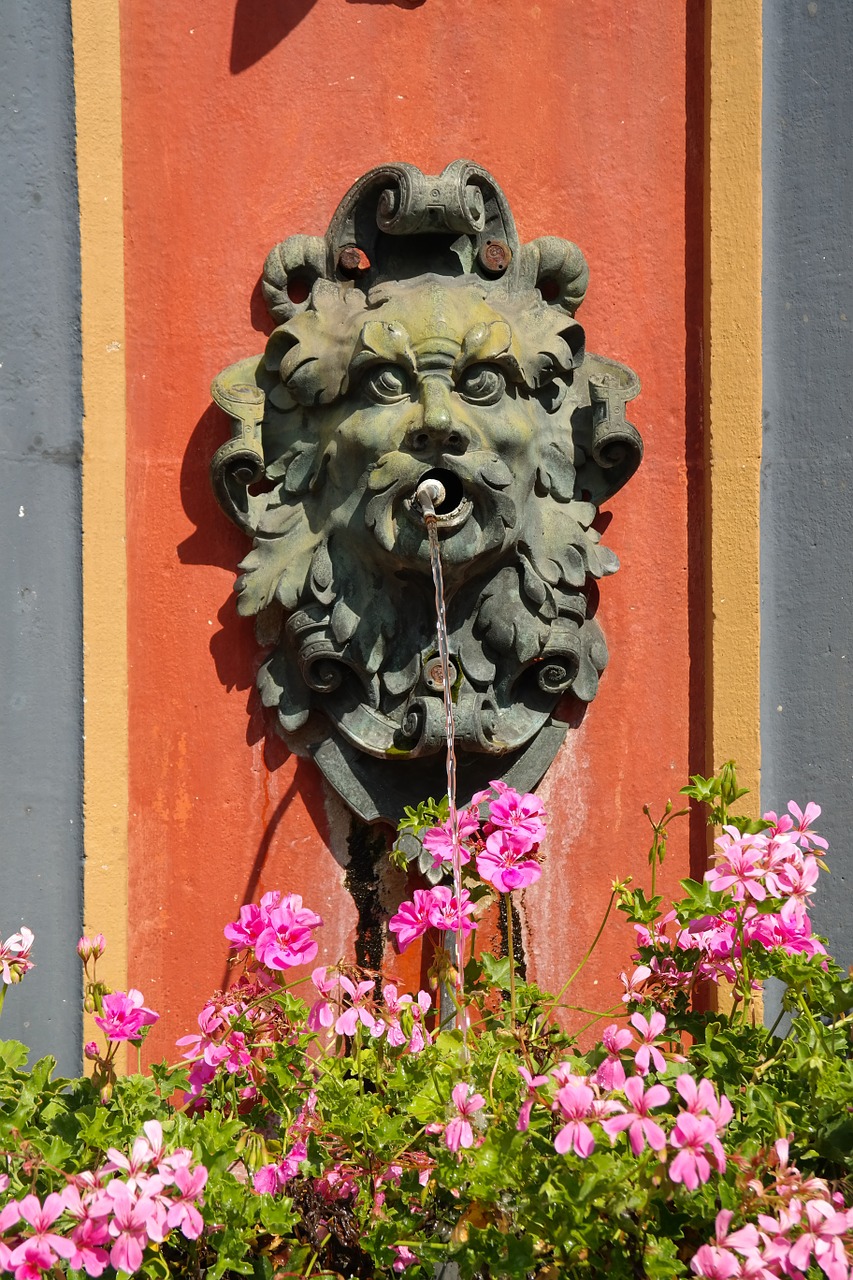 Gargoyle, Fontanas, Vandens Srovė, Vanduo, Vandens Funkcija, Šlapias, Figūra, Srautas, Fontano Miestas, Ulm