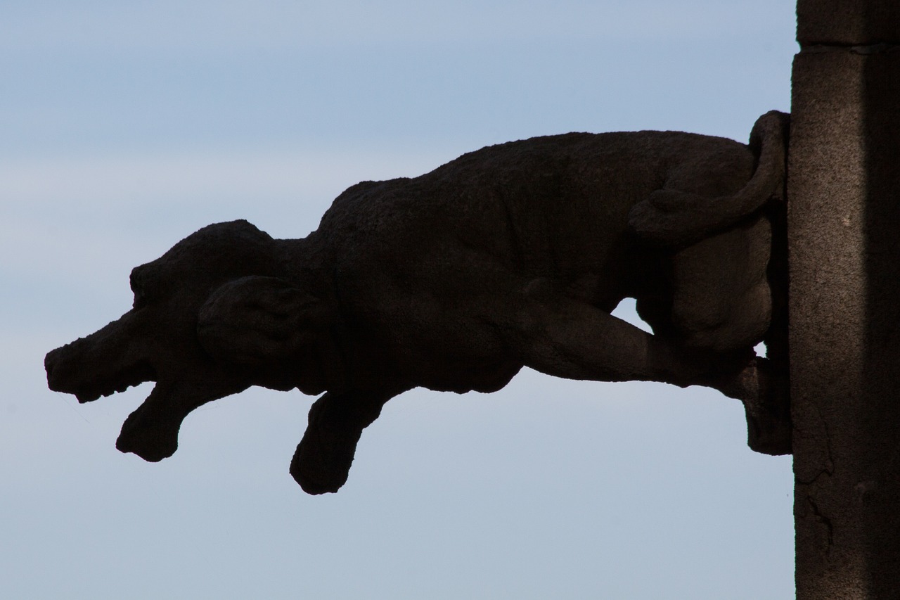 Gargoyle, Dekoratyvinis Gargoyle, Architektūros Elementas, Drenažas, Figured, Fantastiškos Gyvūnų Formos, Mitinės Būtybės, Gotika, Münsteris, Ulmi Katedra