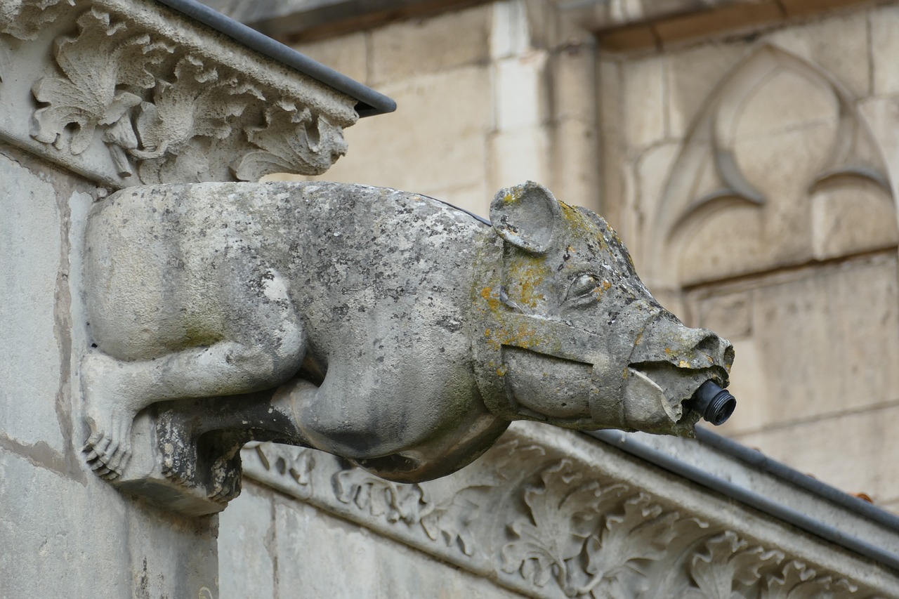 Gargoyle, Vandens Šaulys, Vanduo, Nutekėjimas, Kiaulė, Katedra, Bažnyčia, Menas, Meno Kūrinys, Architektūra