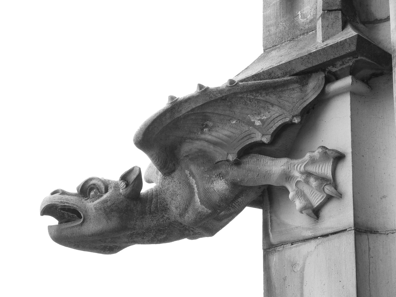 Gargoyle, Drakonas, Mitinės Būtybės, Vanduo, Drenažas, Akmuo, Münsteris, Ulm, Nemokamos Nuotraukos,  Nemokama Licenzija