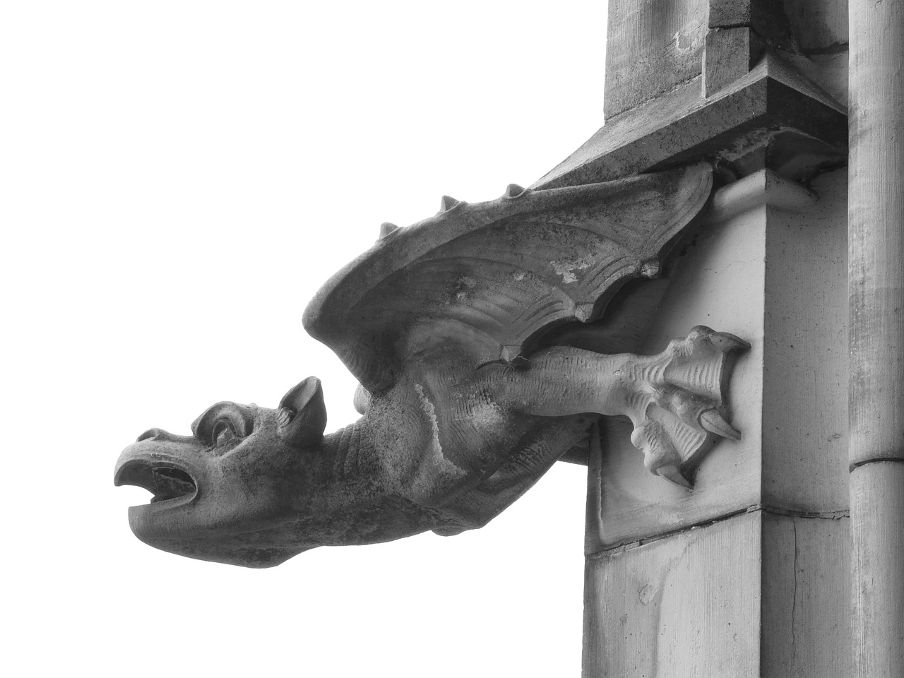 Gargoyle, Figūra, Drakonas, Ulmi Katedra, Münsteris, Pastatas, Architektūra, Mitinės Būtybės, Ulm, Drenažas