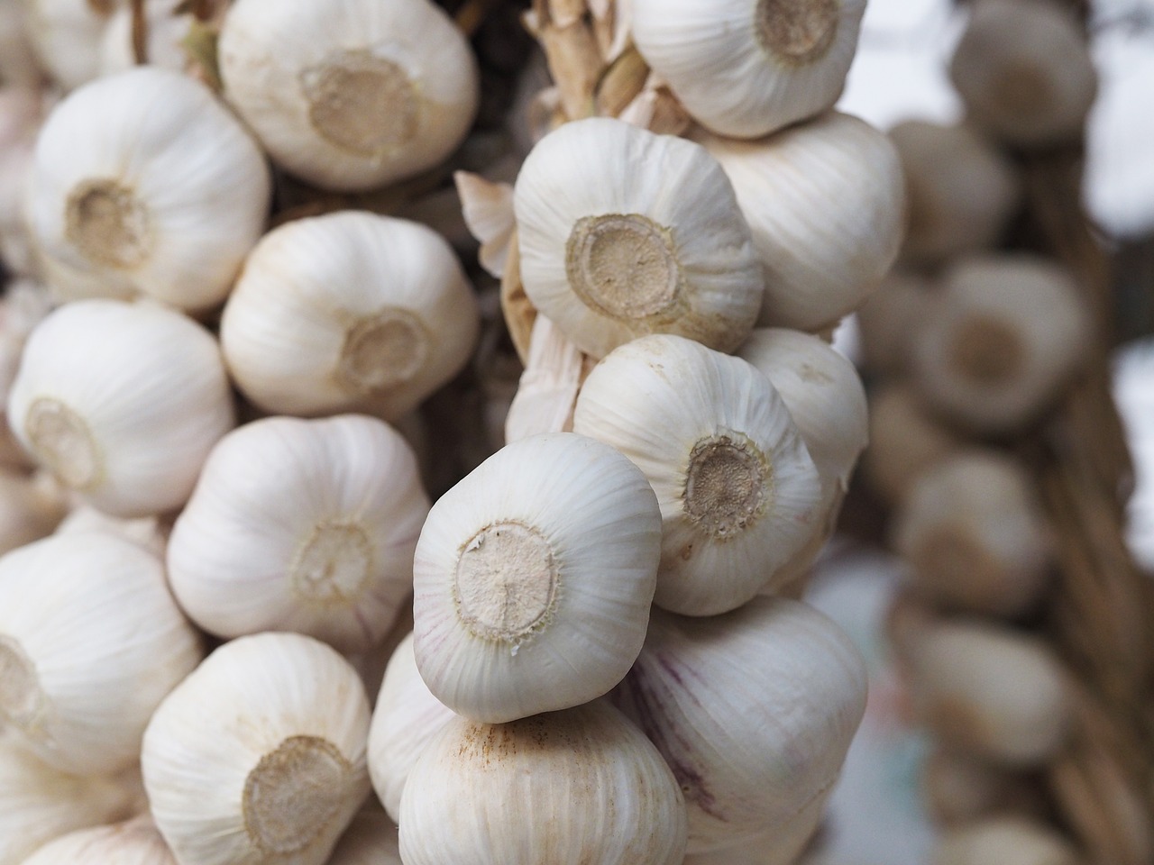 Česnakai, Balta, Maistas, Virtuvė, Ingredientas, Sveikas, Šviežias, Daržovių, Virimo, Vegetariškas