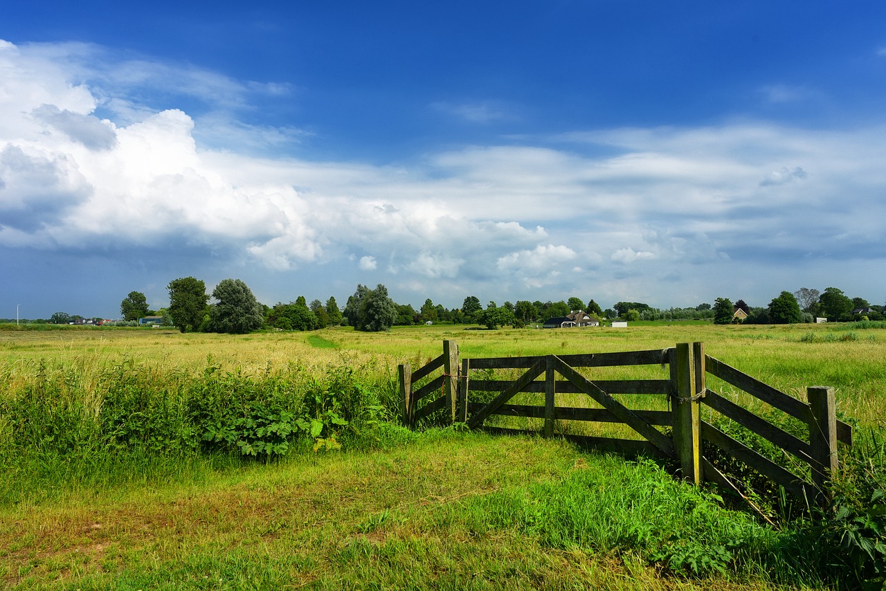 Vartai,  Laukas,  Meadow,  Olandų Kraštovaizdis,  Olandija,  Nyderlandai,  Polderyje,  Skyline,  Kaimo,  Kaimo