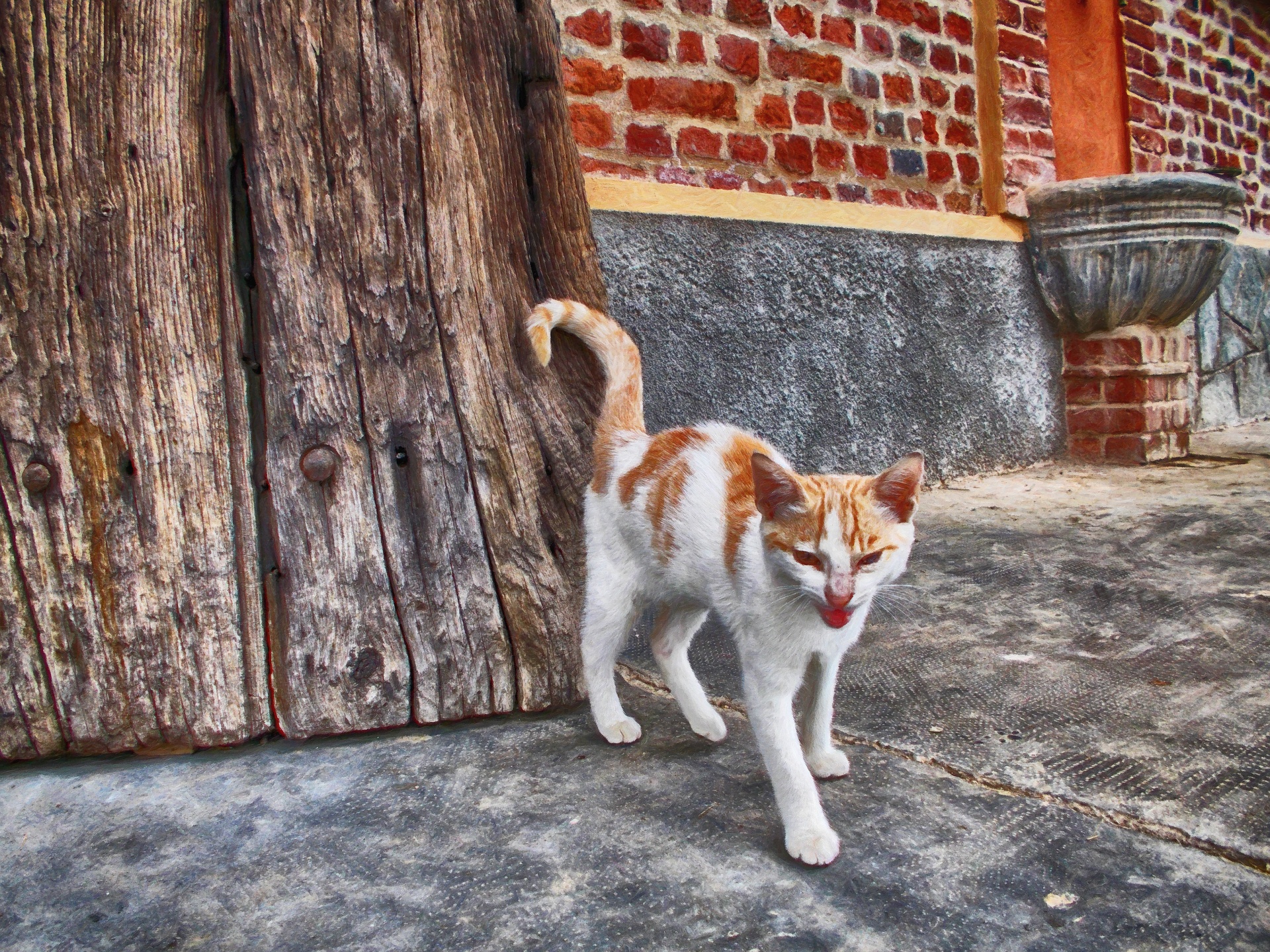 Katė & Nbsp,  Meows,  Meows,  Namai,  Šalis,  Vartai,  Fontanas,  Šaligatvis,  Balta,  Raudona