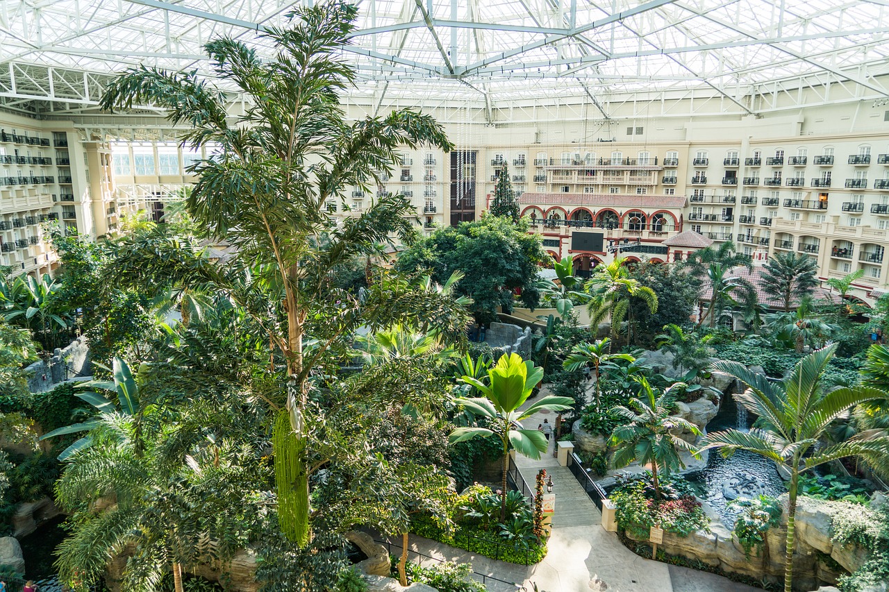 Gaylord Delms Hotel, Orlando, Florida, Sodo Vaizdas, Scena, Architektūra, Peizažas, Sodas, Vanduo, Pastatai