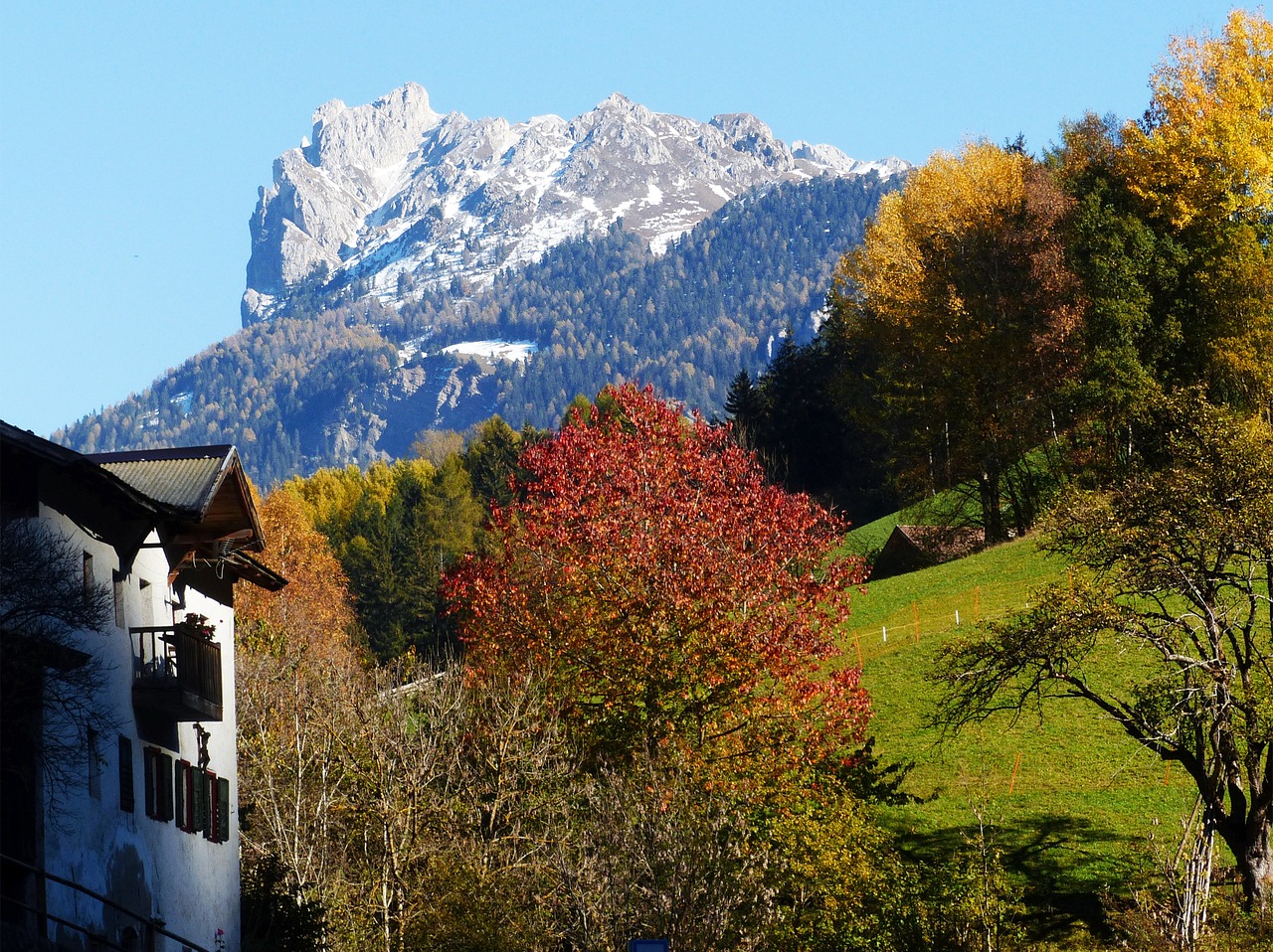 Geislerio Akmuo, Dolomitai, Ruduo, Kalnai, South Tyrol, Aukso Ruduo, Rokas, Rudens Šviesa, Spalvoti Lapai, Maumedis