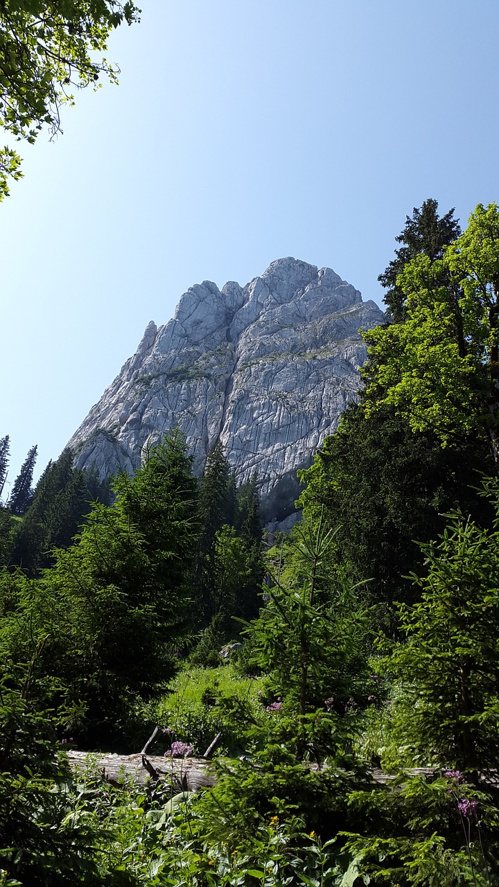 Geiselstein, Oberammergau Alpine, Vazonai, Kalnai, Kieta Siena, Alpinizmas, Alpių, Šiaurinė Siena, Rytinė Siena, Nemokamos Nuotraukos