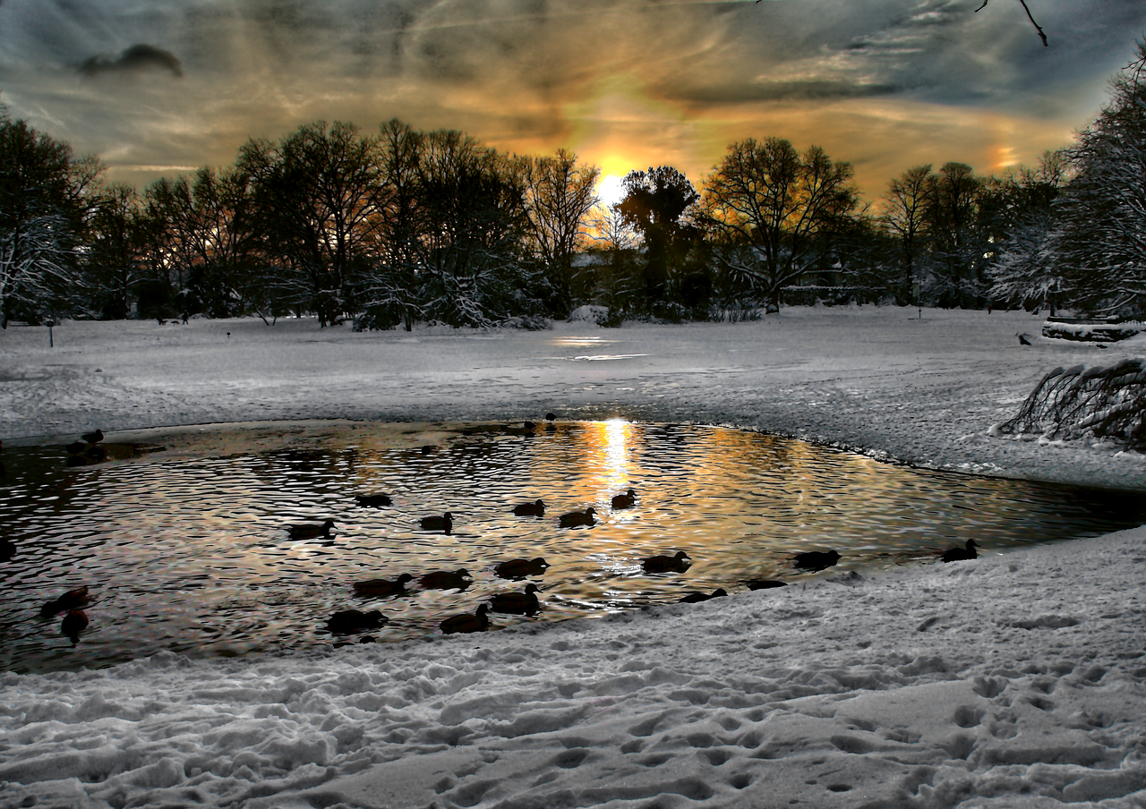 Gelsenkirchen, Bulmerio Parkas, Sniego Kraštovaizdis, Saulėlydis, Žiemą, Šaltas, Vakarinis Dangus, Sniegas, Dusk, Žiema