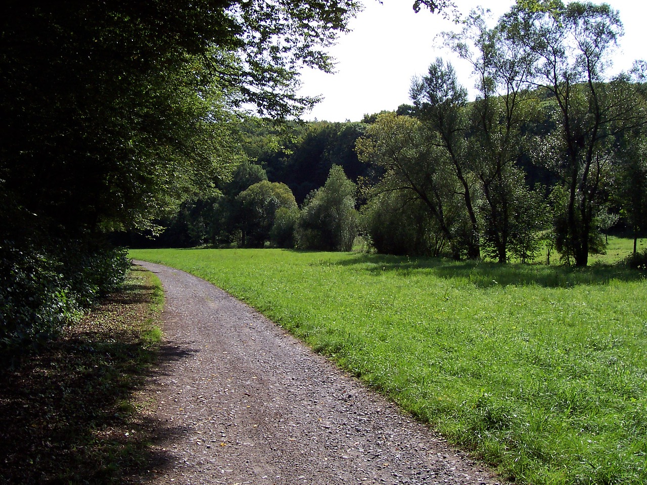 Gengenbachtal, Königsbach Stein, Miškas Ir Pievos, Kraštovaizdis, Nemokamos Nuotraukos,  Nemokama Licenzija