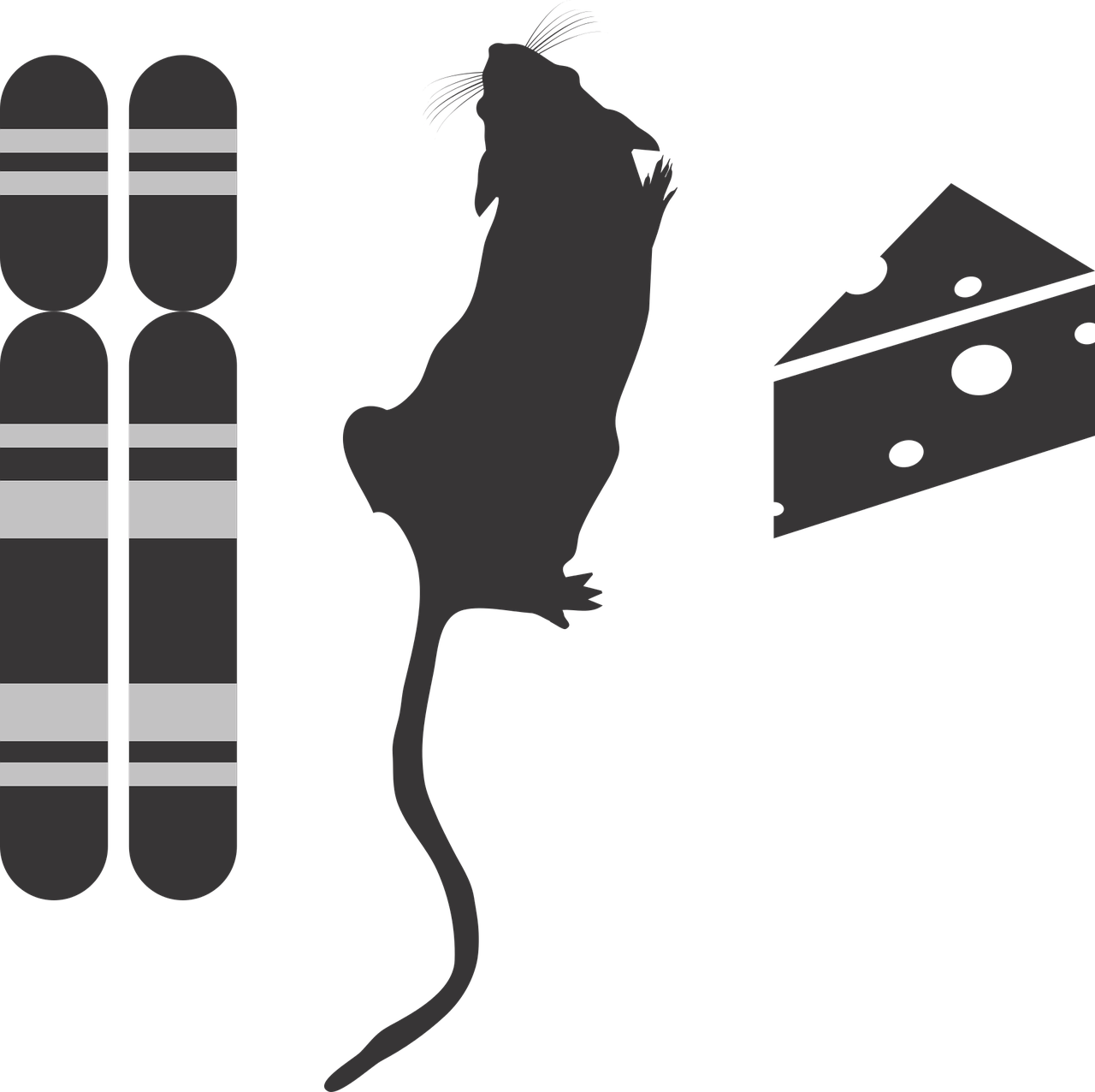 Genotipo Fenotipo Aplinkos Piktograma, G2P, Genotipas, Fenotipas, Aplinka, Nemokama Vektorinė Grafika, Nemokamos Nuotraukos,  Nemokama Licenzija