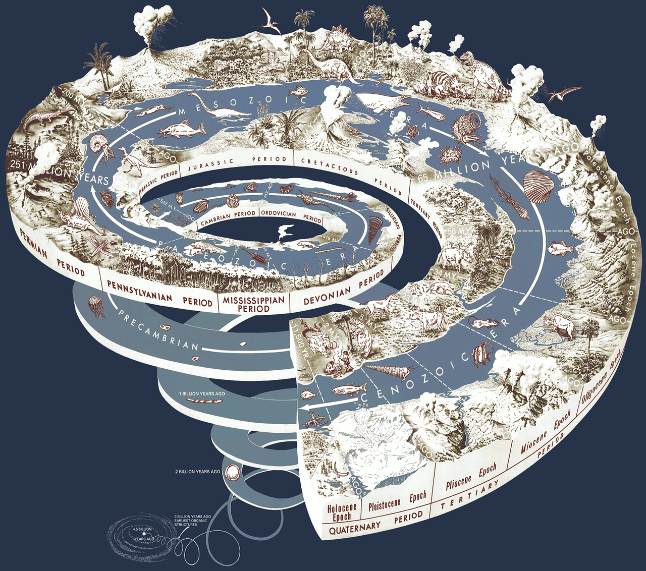 Geologinės Laiko Spiralė,  Grafika,  Istorija,  Evoliucija,  Žemė,  Laikas,  Amžius,  Priešistorinis,  Mokslas,  Vyras