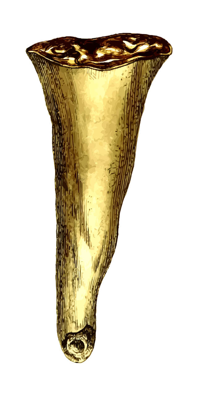 Geologija, Mineralinis, Mineralogija, Rokas, Stalaktitas, Nemokama Vektorinė Grafika, Nemokamos Nuotraukos,  Nemokama Licenzija