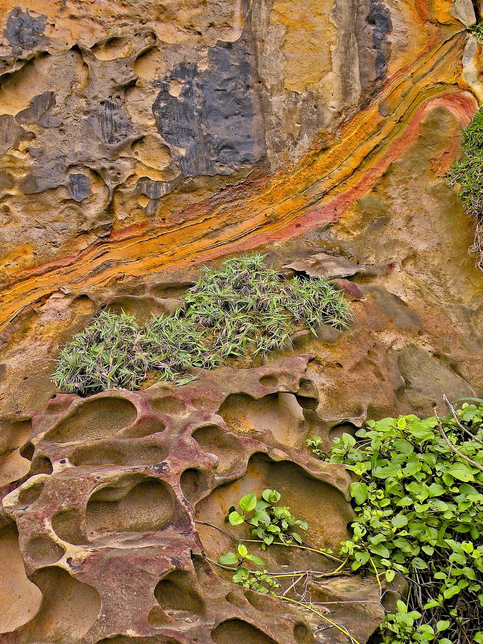 Geologija,  Žemės Paviršiaus,  Pobūdį,  Rokas,  Akmuo,  Sienelę,  Sluoksniai,  Anotacija,  Tekstūra, Nemokamos Nuotraukos