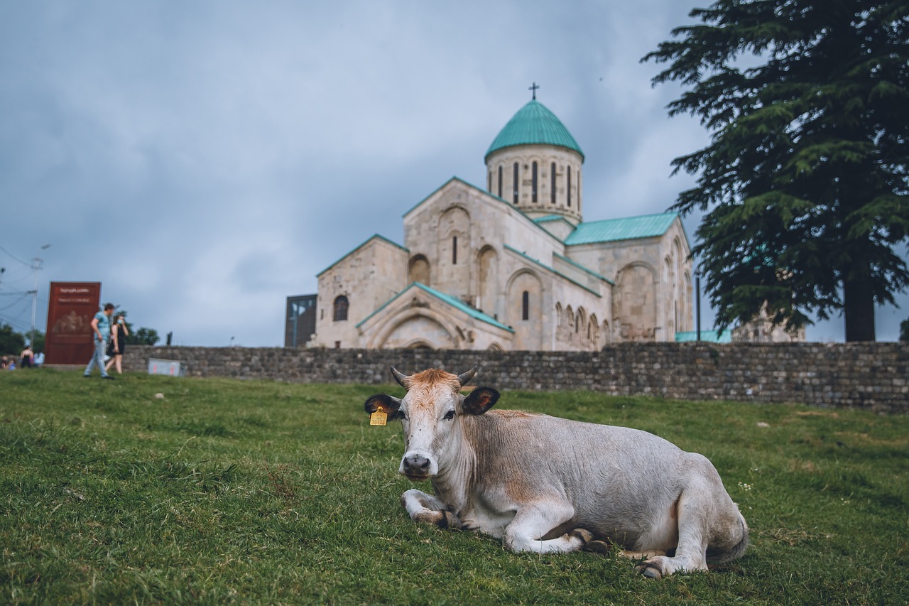 Švč. Trejybės Bažnyčia Gruzijoje, Karvė, Kraštovaizdis, Nemokamos Nuotraukos,  Nemokama Licenzija