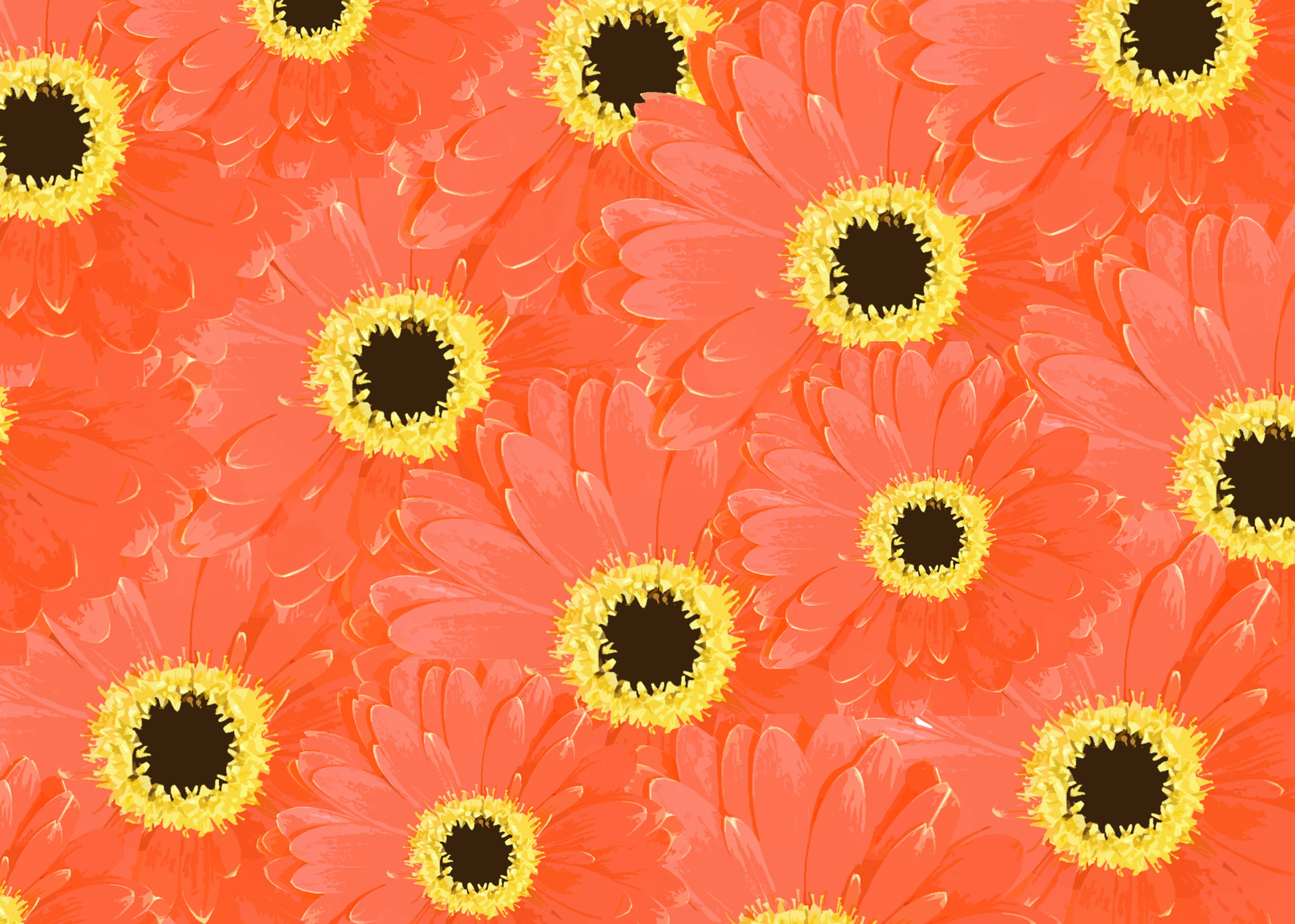 Gerbera Daisy Gėlė Gėlių Fonas Nemokamos Nuotraukos Mediakatalogas Lt