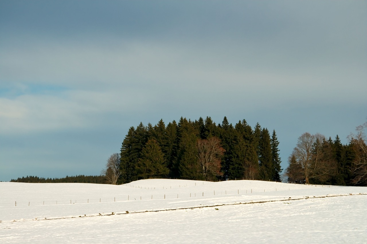 Vokietija, Bavarija, Gamta, Žiema, Sniegas, Laukas, Miškas, Medžiai, Dangus, Debesys