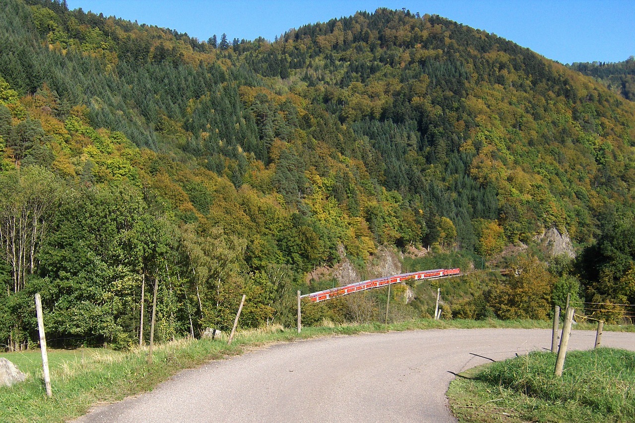 Vokietija, Kraštovaizdis, Kelias, Miškas, Medžiai, Miškai, Juodasis Miškas, Dangus, Debesys, Vaizdingas