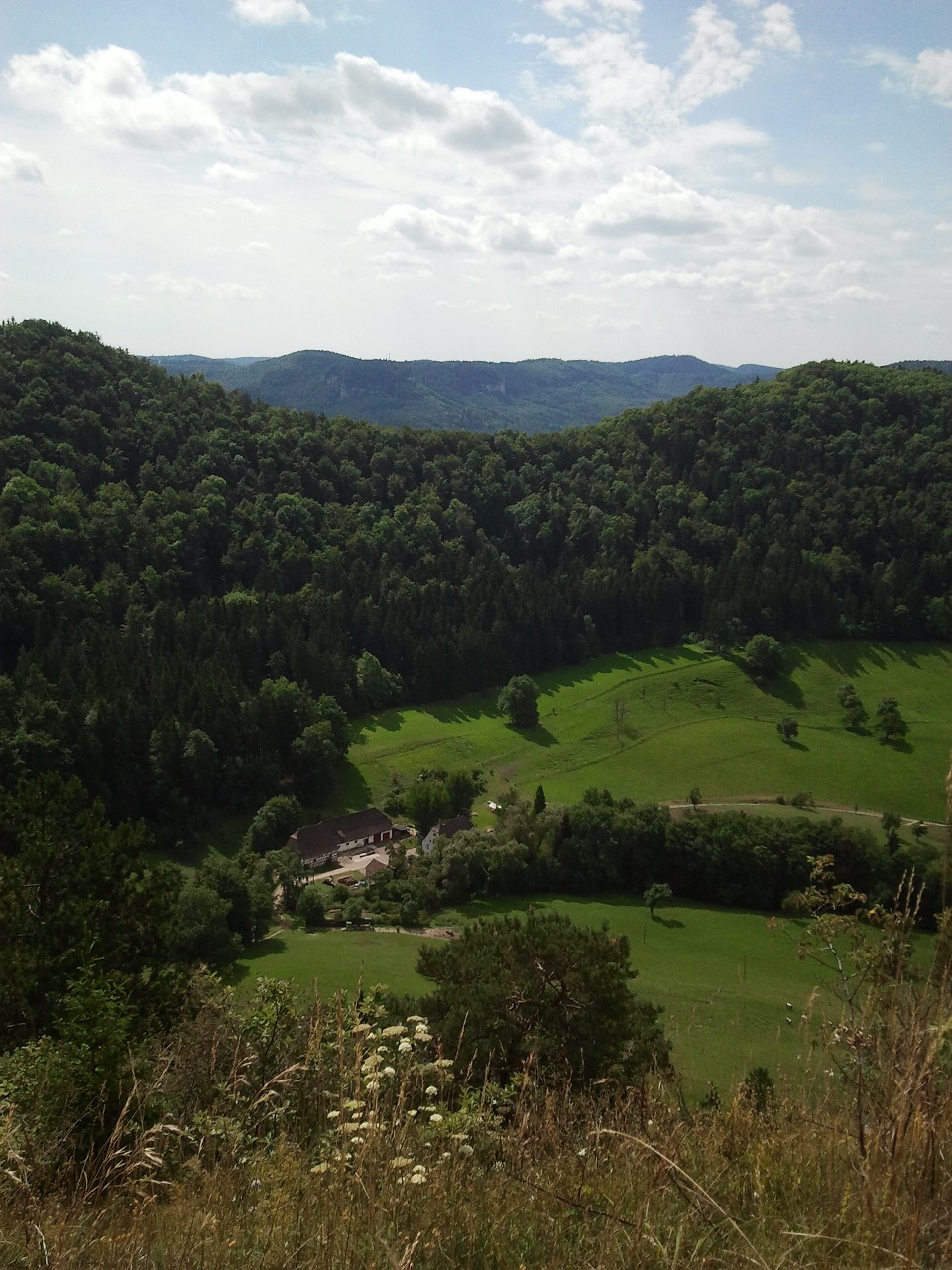 Vokietija, Vasara, Vaizdas, Perspektyva, Alpės, Miškai, Kalnai, Laukai, Žalias, Nemokamos Nuotraukos