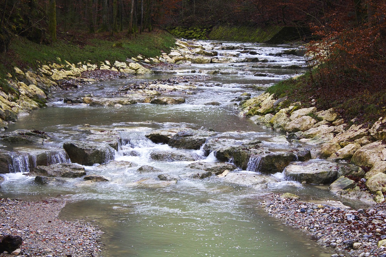 Vokietija, Bavarija, Europa, Kelionė, Miškas, Upelis, Srautas, Vanduo, Nemokamos Nuotraukos,  Nemokama Licenzija