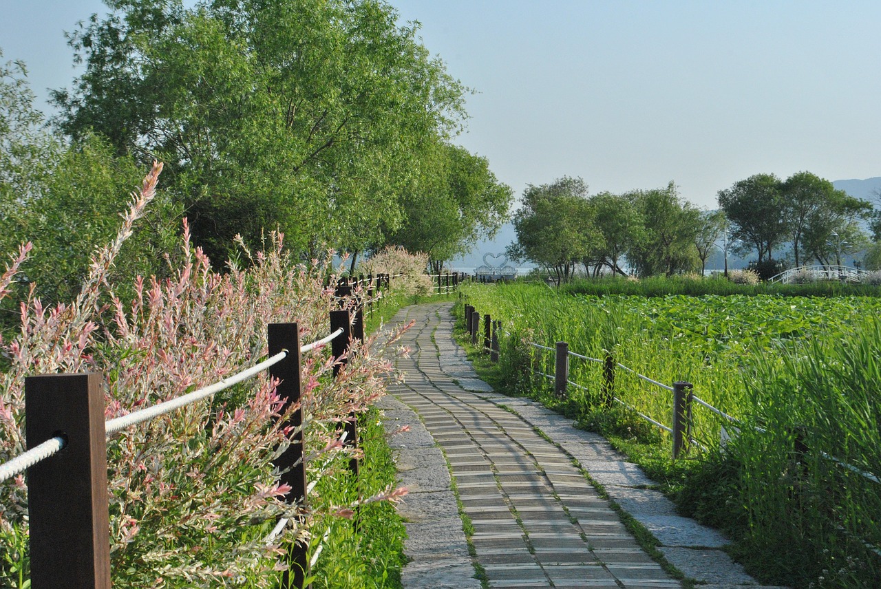 Gil,  Pobūdį,  Sodas,  Parkas,  Vaikščioti,  Takai,  Kraštovaizdis,  Fonas, Nemokamos Nuotraukos,  Nemokama Licenzija