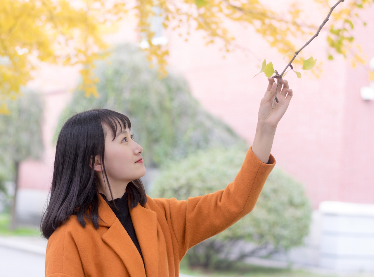 Ginkmedis, Mergaitės, Shenyang Žemės Ūkio Universitetas, Universiteto Studentas, Nemokamos Nuotraukos,  Nemokama Licenzija