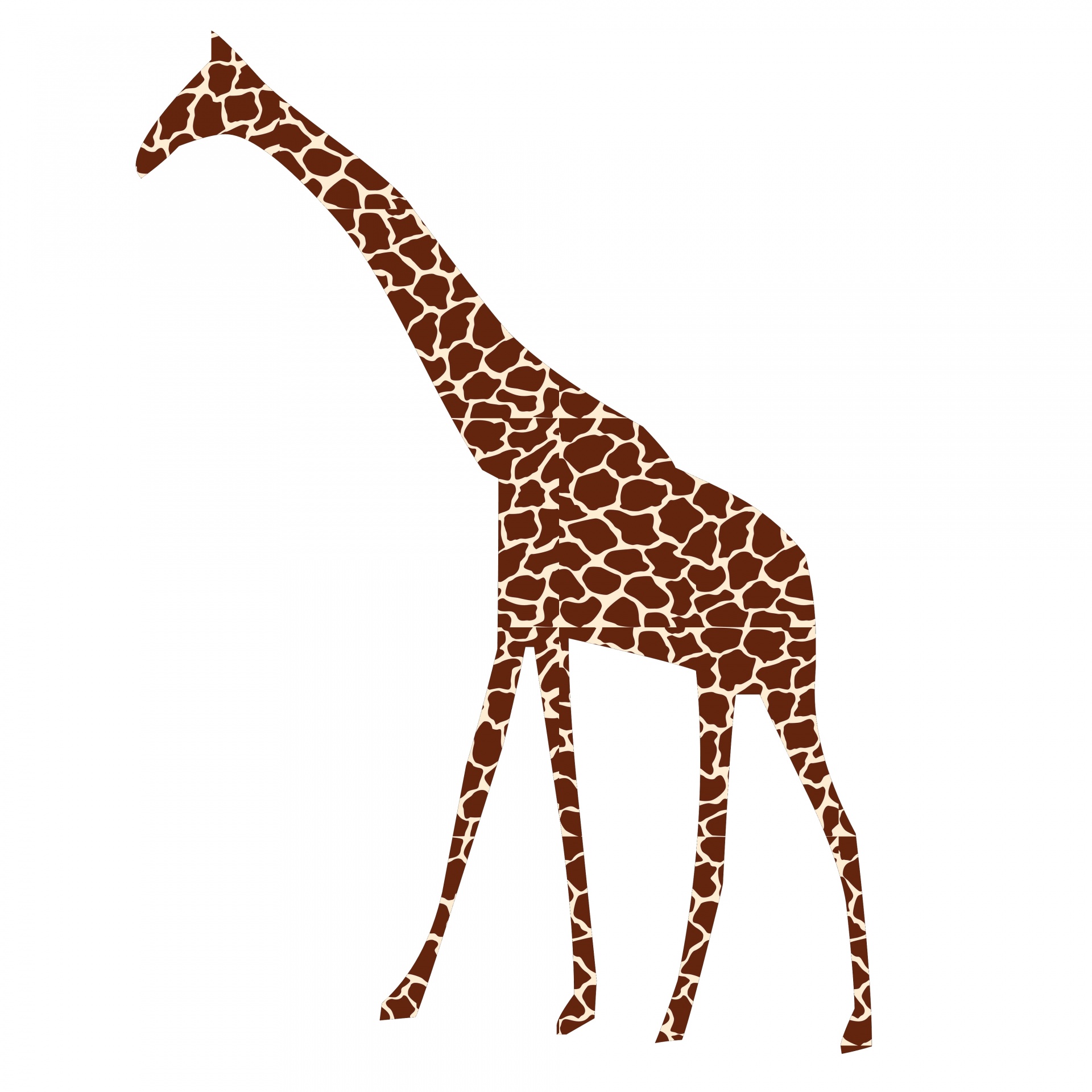 Piešimas,  Žirafa,  Gyvūnas,  Laukiniai,  Modelis,  Izoliuotas,  Piktograma,  Balta,  Fonas,  Afrika