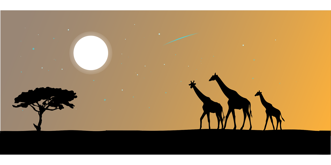 Žirafa, Gyvūnas, Siluetas, Safari, Afrika, Žirafos Siluetas, Afrikos, Afrikietiškas Kraštovaizdis, Vaizdas, Panorama