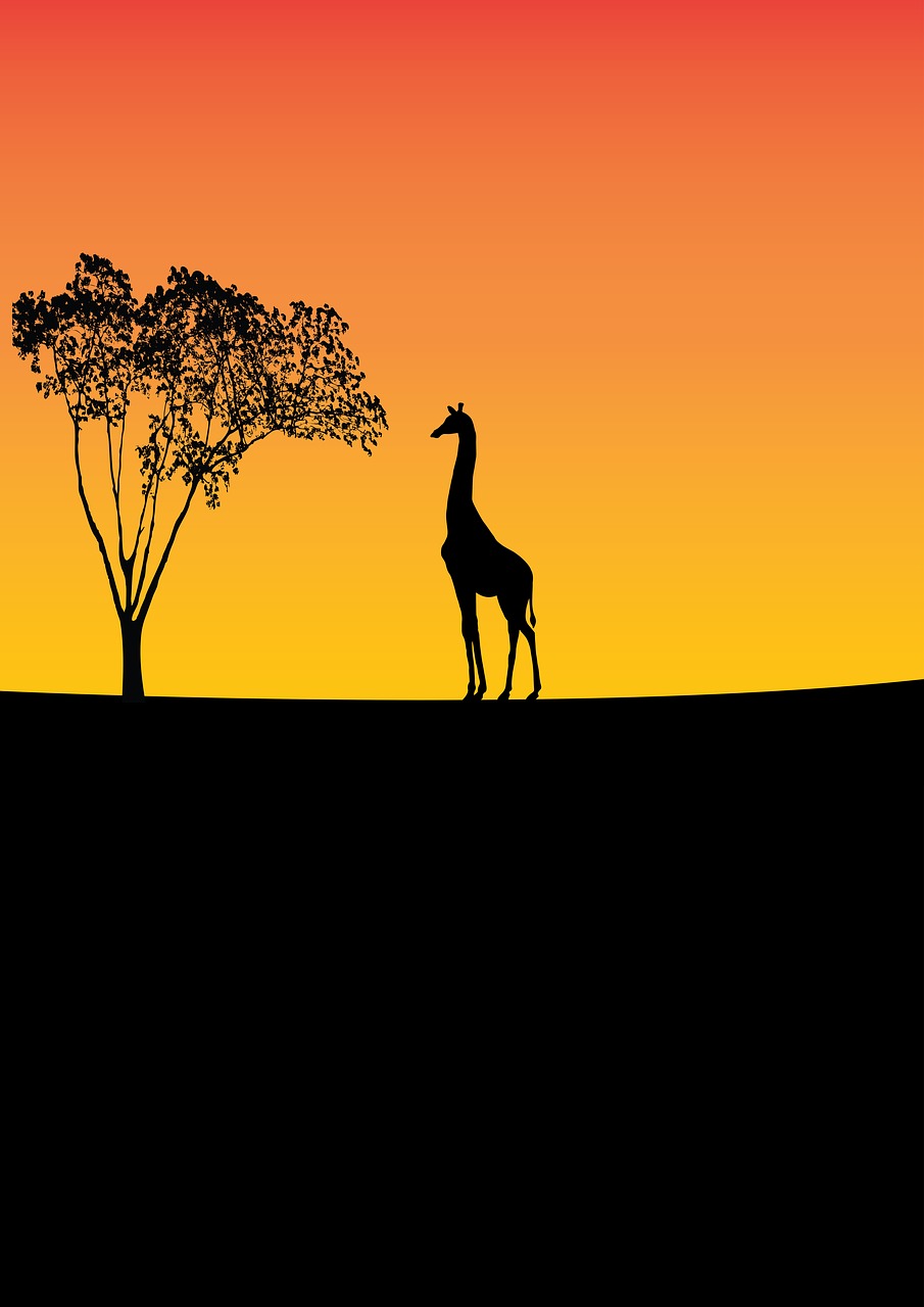 Žirafa, Laukinė Gamta, Medis, Gamta, Gyvūnas, Laukiniai, Afrika, Išsaugojimas, Juoda, Geltona