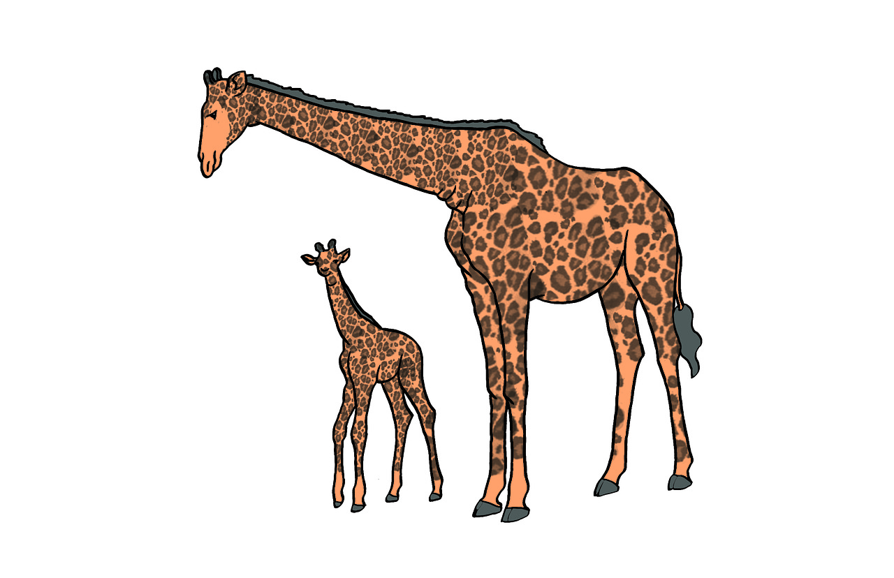 Žirafa, Jaunas, Motina, Gyvūnas, Laukiniai, Gamta, Laukinė Gamta, Afrika, Safari, Zoologijos Sodas