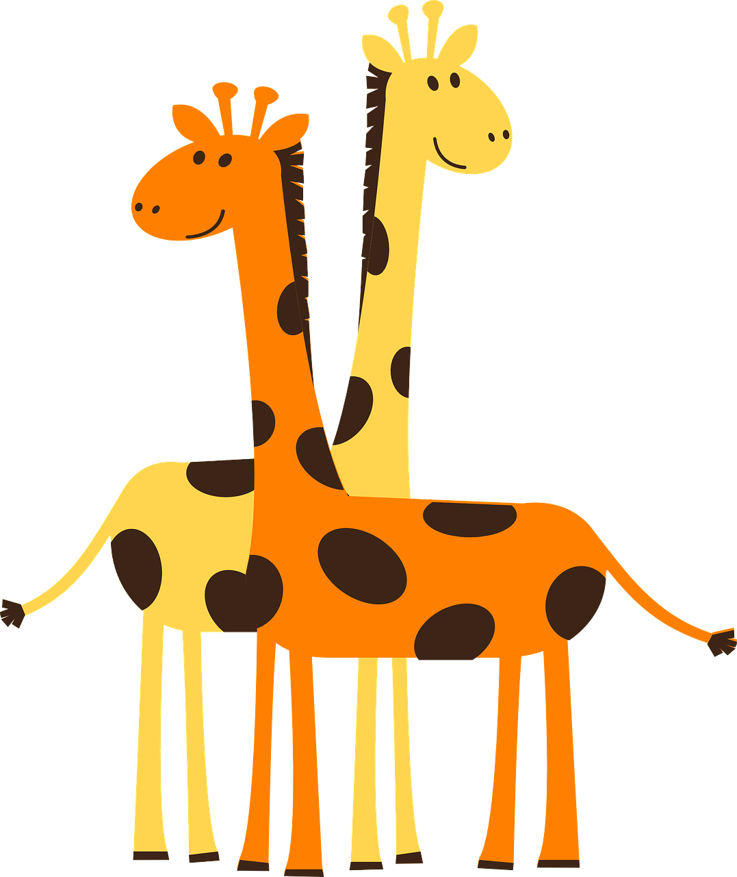 Žirafa, Afrika, Safari, Laukinė Gamta, Gyvūnas, Afrikos, Žinduolis, Zoologijos Sodas, Mielas, Animacinis Filmas