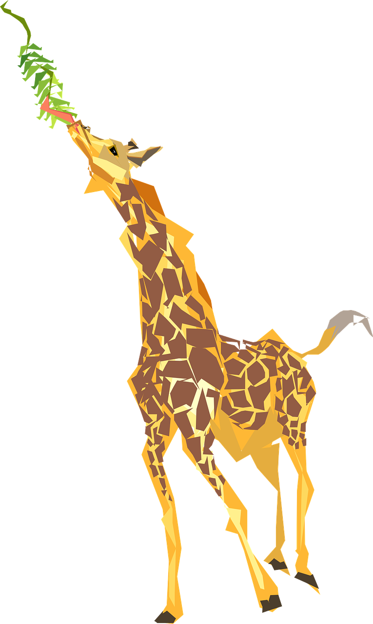Žirafa, Valgymas, Ilgai, Kaklas, Liežuvis, Laukinė Gamta, Afrika, Zoologijos Sodas, Maitinimas, Žolėdžių