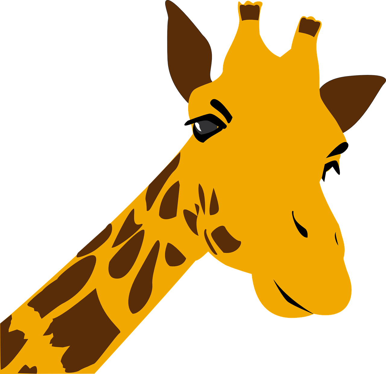 Žirafa, Zoologijos Sodas, Afrika, Žinduolis, Kenya, Didelis, Kaklas, Gyvūnų Pasaulis, Gyvūnas, Gamta