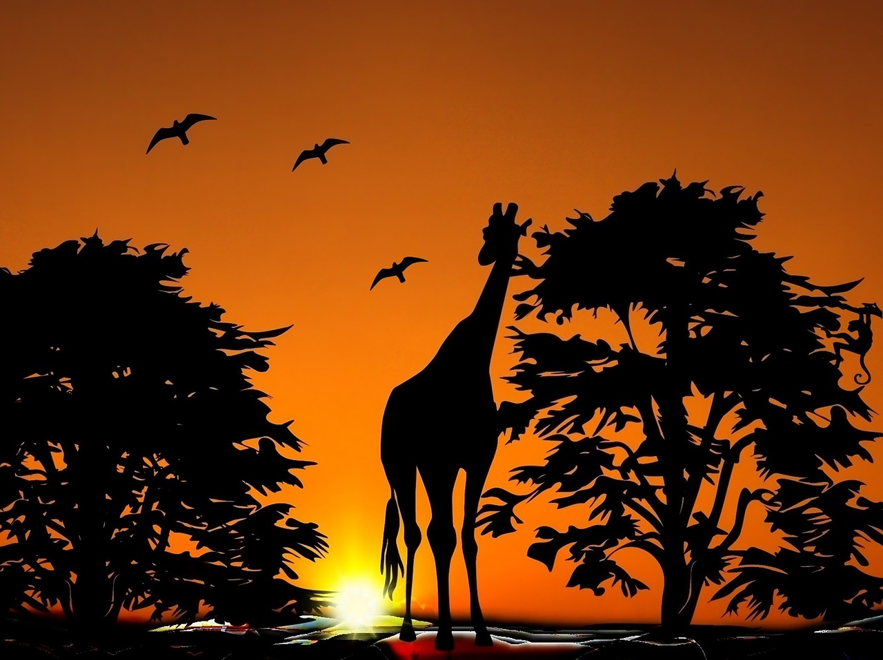 Žirafa, Zoologijos Sodas, Gyvūnas, Savana, Afrika, Vakaruose, Saulėlydis, Paukščiai, Sol, Prieš Šviesą