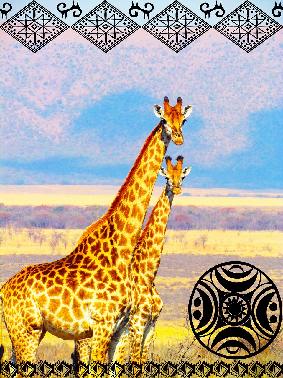 Žirafa, Afrika, Safari, Vasara, Saulė, Gamta, Grafika, Etnografija, Etnologiniai, Simboliai