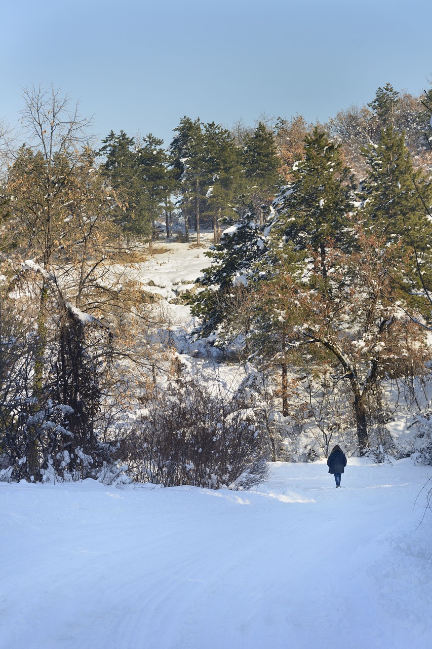 Mergaitė, Sniegas, Kelias, Miškas, Žiema, Šaltas, Moteris, Žmonės, Balta, Lauke