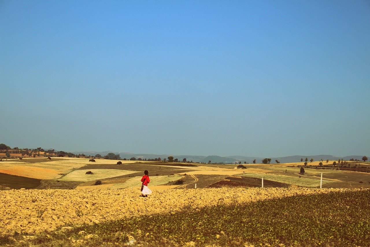Mergaitė, Vaikščioti, Saulėgrąžų Laukas, Aung Pan, Mianmaras, Burma, Shan Valstija, Dangus, Viltis, Vienas