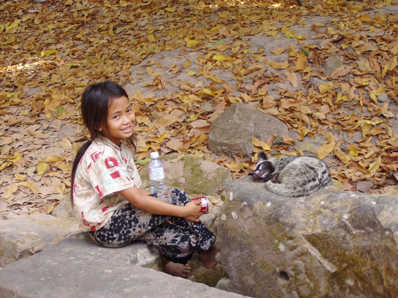 Mergaitė, Kambodža, Mėgstamiausias Gyvūnas, Nemokamos Nuotraukos,  Nemokama Licenzija