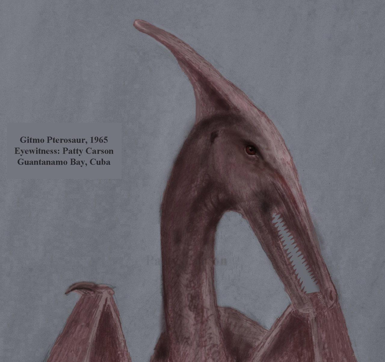 Pterodaktilas,  Pterosauras,  Ragena,  Kuba,  Gitmo,  Patty,  Carson,  Cryptozoology,  Guantanamo,  Įlanka