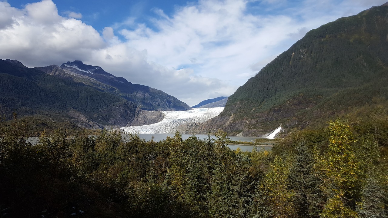 Ledynas, Alaska, Miškas, Juneau, Nemokamos Nuotraukos,  Nemokama Licenzija