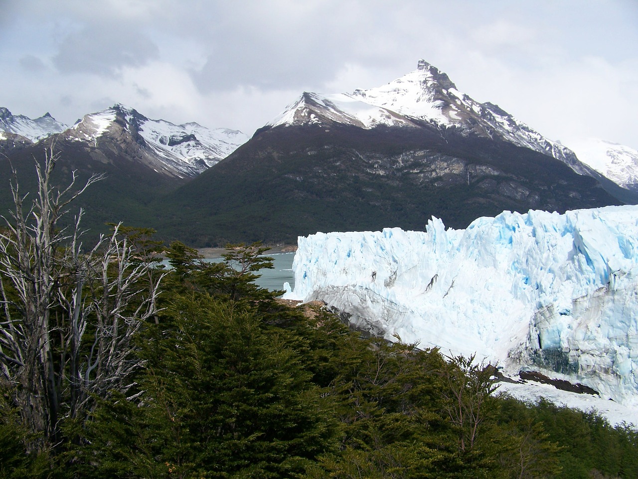 Ledynas, Perito Moreno, Argentina, Kalnas, Gamta, Kraštovaizdis, Nemokamos Nuotraukos,  Nemokama Licenzija